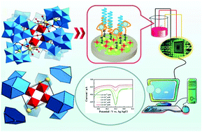 Graphical abstract: Multi-praseodymium-and-tungsten bridging octameric tellurotungstate and its 2D honeycomb composite film for detecting estrogen