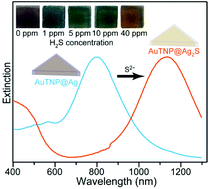 Graphical abstract: (Gold triangular nanoplate core)@(silver shell) nanostructures as highly sensitive and selective plasmonic nanoprobes for hydrogen sulfide detection