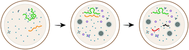 Graphical abstract: Molecular crowding and RNA catalysis