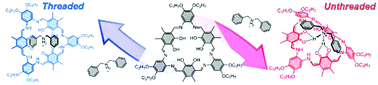 Graphical abstract: Diverse binding of cationic guests by highly substituted [3 + 3] Schiff-base macrocycles