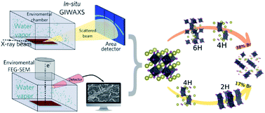 Graphical abstract: Degradation mechanisms in mixed-cation and mixed-halide CsxFA1−xPb(BryI1−y)3 perovskite films under ambient conditions