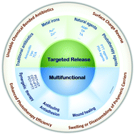 Graphical abstract: Recent advances in pH-responsive nanomaterials for anti-infective therapy