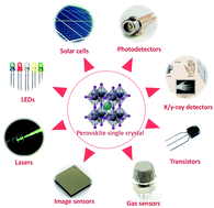 Graphical abstract: Growth and optimization of hybrid perovskite single crystals for optoelectronics/electronics and sensing