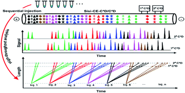 Graphical abstract: A substantial increase of analytical throughput in capillary electrophoresis throughput by separation-interrupted sequential injections