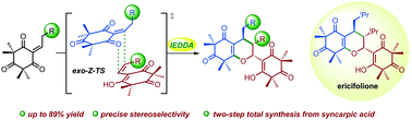 Graphical abstract: Total syntheses of ericifolione and its analogues via a biomimetic inverse-electron-demand Diels–Alder reaction