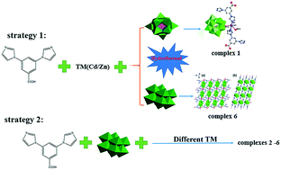 Graphical abstract: A series of polyoxometalate-based hybrid complexes constructed by a tripodal ligand containing mixed N/O donors