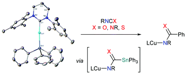 Graphical abstract: The structures of ring-expanded NHC supported copper(i) triphenylstannyls and their phenyl transfer reactivity towards heterocumulenes