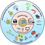 Graphical abstract: Assessing the environmental effects related to quantum dot structure, function, synthesis and exposure