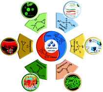 Graphical abstract: Homogeneous modification of chitin and chitosan based on an alkali/urea soluble system and their applications in biomedical engineering