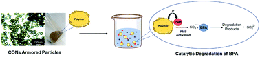 Graphical abstract: Polymer particles armored with cobalt oxide nanosheets for the catalytic degradation of bisphenol A