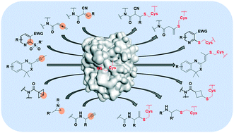 Graphical abstract: Recent advances in the development of covalent inhibitors