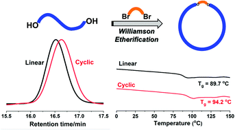 Graphical abstract: Well-defined cyclic polymer synthesis via an efficient etherification-based bimolecular ring-closure strategy