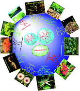 Graphical abstract: Application of Pauson–Khand reaction in the total synthesis of terpenes