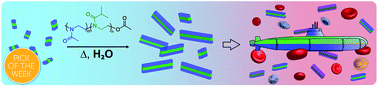 Graphical abstract: Stealth nanorods via the aqueous living crystallisation-driven self-assembly of poly(2-oxazoline)s