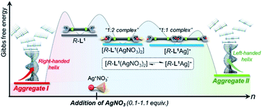 Graphical abstract: Helicity-driven chiral self-sorting supramolecular polymerization with Ag+: right- and left-helical aggregates