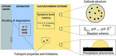 Graphical abstract: Progress on continuum modeling of lithium–sulfur batteries