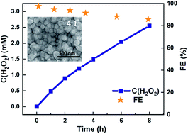 Graphical abstract: Microstructural origin of selective water oxidation to hydrogen peroxide at low overpotentials: a study on Mn-alloyed TiO2