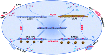 Graphical abstract: Synergistically enhanced single-atomic site catalysts for clean energy conversion