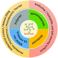 Graphical abstract: Recent progress in tannic acid-driven antibacterial/antifouling surface coating strategies