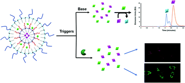 Graphical abstract: Multi-layered stimuli responsive DNA micelles for the stepwise controlled release of small molecules