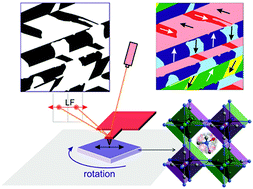 Graphical abstract: Statics and dynamics of ferroelectric domains in molecular multiaxial ferroelectric (Me3NOH)2[KCo(CN)6]