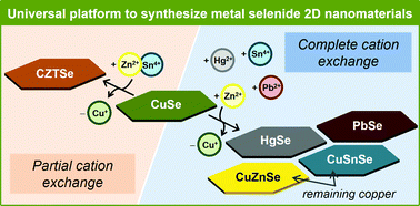 Graphical abstract: Cation exchange on colloidal copper selenide nanosheets: a route to two-dimensional metal selenide nanomaterials