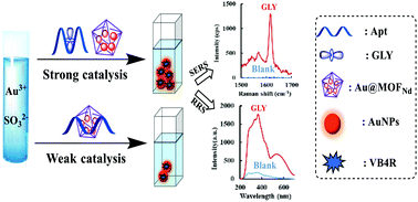 Graphical abstract: Highly catalysis amplification of MOFNd-loaded nanogold combined with specific aptamer SERS/RRS assay of trace glyphosate