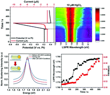 Graphical abstract: Single-particle spectroelectrochemistry: electrochemical tuning of plasmonic properties via mercury amalgamation in mesoporous silica coated gold nanorods without structural deformation