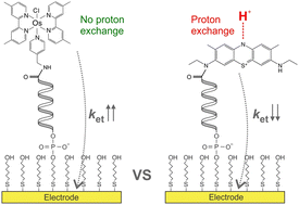 Graphical abstract: Os(ii/iii) complex supports pH-insensitive electrochemical DNA-based sensing with superior operational stability than the benchmark methylene blue reporter