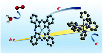 Graphical abstract: High quantum yield photochemical water oxidation using a water-soluble cobalt phthalocyanine as a homogenous catalyst