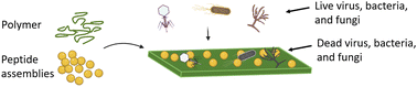 Graphical abstract: Fabrication of antimicrobial polymeric films by compression molding of peptide assemblies and polyethylene