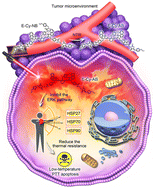 Graphical abstract: A hypoxia-activated photothermal agent inhibits multiple heat shock proteins for low-temperature photothermal therapy