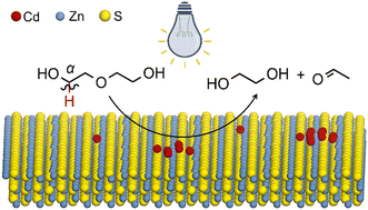 Graphical abstract: Photocatalytic reductive C–O bond scission promoted by low-work-function Cd single atoms and clusters