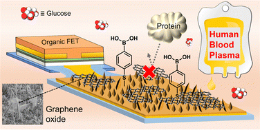 Graphical abstract: Non-enzymatic detection of glucose levels in human blood plasma by a graphene oxide-modified organic transistor sensor