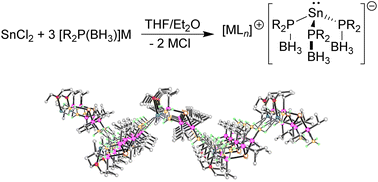 Graphical abstract: Phosphido-borane-supported stannates