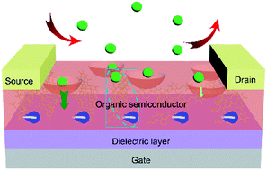 Graphical abstract: Advances in morphology control of organic semiconductor enabled organic transistor-based chemical sensors