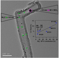 Graphical abstract: Establishing tungsten carbides as active catalysts for CO2 hydrogenation