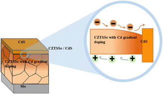 Graphical abstract: Suppressing interface recombination in CZTSSe solar cells by simple selenization with synchronous interface gradient doping