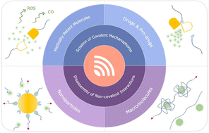 Graphical abstract: Sonopharmacology: controlling pharmacotherapy and diagnosis by ultrasound-induced polymer mechanochemistry