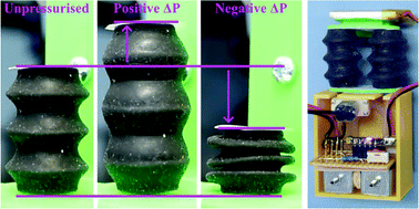 Graphical abstract: 3D printed linear soft multi-mode actuators expanding robotic applications