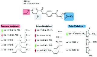 Graphical abstract: A new order of liquids: polar order in nematic liquid crystals