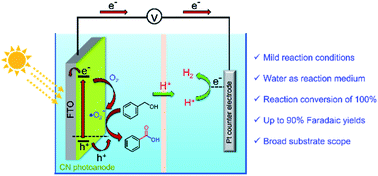 Graphical abstract: Photoelectrochemical alcohols oxidation over polymeric carbon nitride photoanodes with simultaneous H2 production