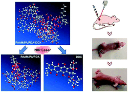 Graphical abstract: An efficient photothermal–chemotherapy platform based on a polyacrylamide/phytic acid/polydopamine hydrogel