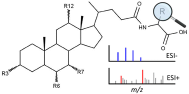 Graphical abstract: Integration of semi-empirical MS/MS library with characteristic features for the annotation of novel amino acid-conjugated bile acids