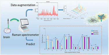 Graphical abstract: Data augmentation method based on the Gaussian kernel density for glioma diagnosis with Raman spectroscopy