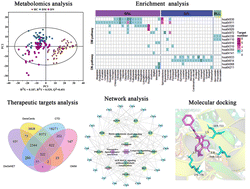 Graphical abstract: Integration of metabolomics and network pharmacology for enhancing mechanism understanding and medication combination recommendation for diabetes mellitus and diabetic nephropathy