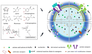 Graphical abstract: Recent advances in nanopore-based analysis for carbohydrates and glycoconjugates