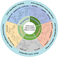 Graphical abstract: Self-assembled nanodrug delivery systems for anti-cancer drugs from traditional Chinese medicine