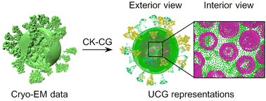 Graphical abstract: Development of multiscale ultra-coarse-grained models for the SARS-CoV-2 virion from cryo-electron microscopy data