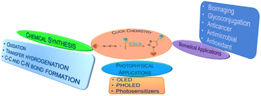 Graphical abstract: Click-derived multifunctional metal complexes for diverse applications